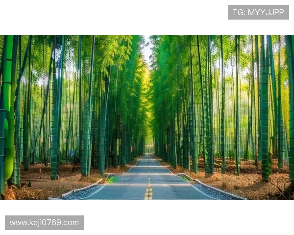 开运入口：开启幸福生活的幸运入口让每一天都充满希望