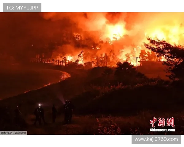 解析开云体育赌博中的投注技巧与案例，帮助新手更快入门与盈利